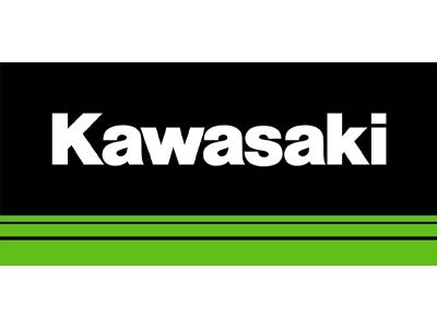 India Kawasaki LTD